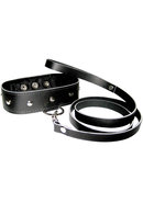 Leather Leash And Collar